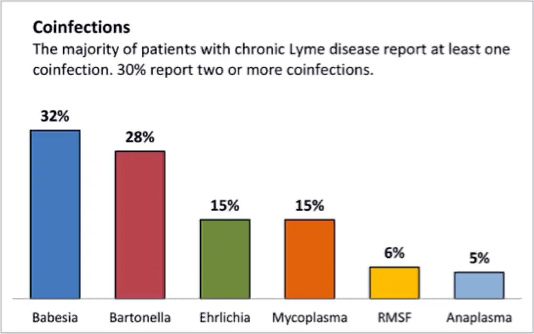 Chronic Lyme disease treatment often involves treating the many co-infections