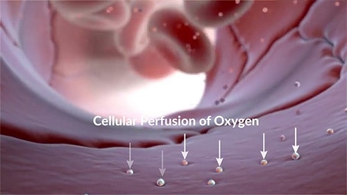 Ozone increases your red blood cells ability to carry oxygen and deliver it to all the tissues in your body. Borrelia do not like oxygen.