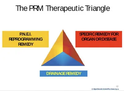 The PRM therapeutic triangle.
