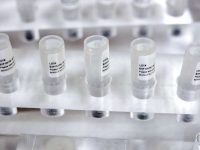 empty-vials-of-mesenchymal-stem-cells