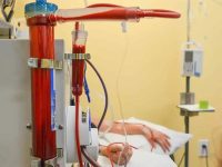 extracorporeal-blood-oxygenation-and-ozonation-ama-regenerative-medicine