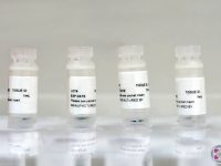 four-vials-of-mesenchymal-stem-cells