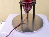 This is where the blood is infused with ozone during a treatment.